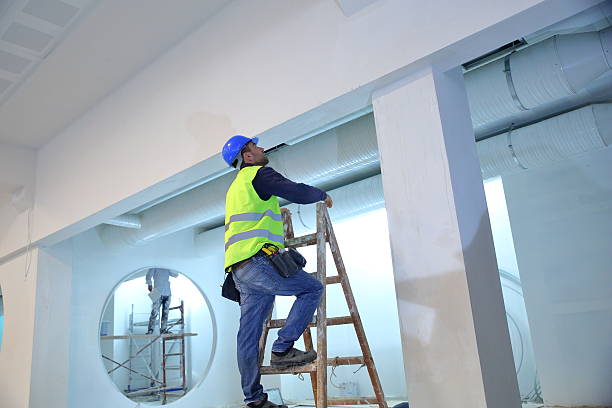 Trusted Carrizo Springs, TX Mold Removal Experts